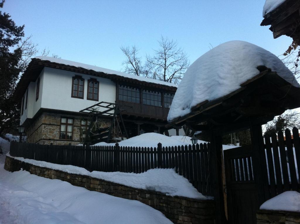 Stefanina 4*
