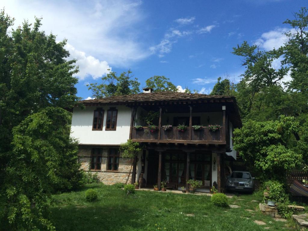 Stefanina 4*