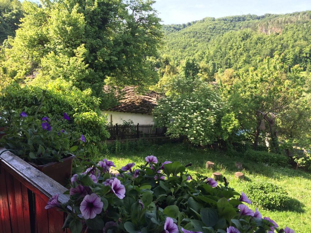 Stefanina 4* Bożenci